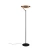 Trio lights Dios floor lamp LED black, 1-light source