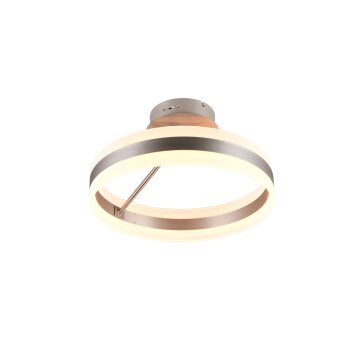 Trio lights Dios ceiling light LED matt nickel, 1-light source