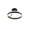 Trio lights Dios ceiling light LED black, 1-light source