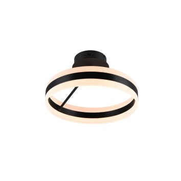 Trio lights Dios ceiling light LED black, 1-light source