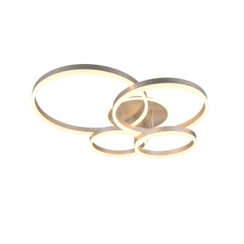 Trio lights Drake ceiling light LED matt nickel, 1-light source, Remote control