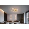 Trio lights Drake ceiling light LED gold, 1-light source, Remote control