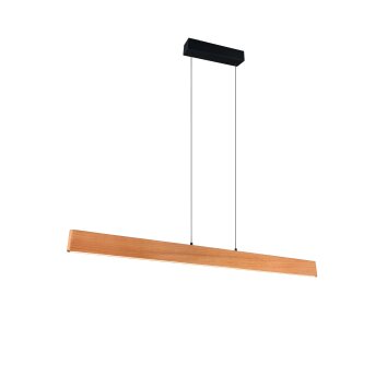 Trio lights EDGEWOOD pendant light LED Light wood, 1-light source