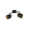 Trio lights Eva ceiling spotlight black-gold, 2-light sources