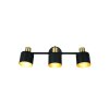 Trio lights Eva ceiling spotlight black-gold, 3-light sources