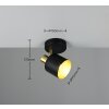 Trio lights Eva ceiling spotlight black-gold, 1-light source