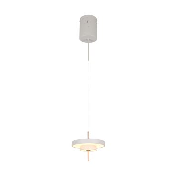 Trio lights KEATON pendant light LED grey, 1-light source