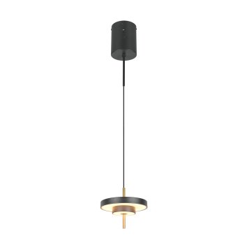 Trio lights KEATON pendant light LED black-gold, 1-light source