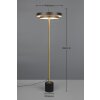 Trio lights KEATON floor lamp LED black-gold, 1-light source