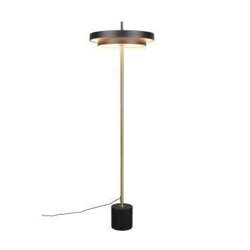 Trio lights KEATON floor lamp LED black-gold, 1-light source