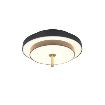 Trio lights KEATON ceiling light LED black-gold, 1-light source