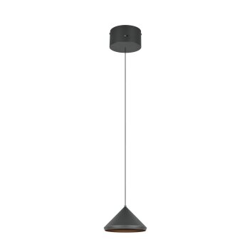 Trio lights Laguna pendant light LED black, 1-light source