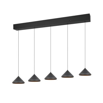 Trio lights Laguna pendant light LED black, 5-light sources