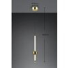 Trio lights Melita pendant light LED brass, 1-light source