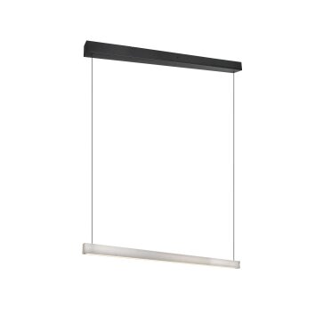Trio lights Wallace pendant light LED matt nickel, 1-light source