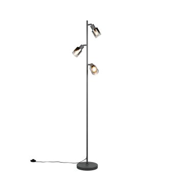 Reality lights Cadiz floor lamp black, 3-light sources