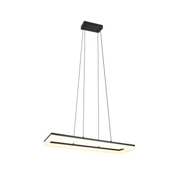 Reality lights Camino pendant light LED black, 1-light source