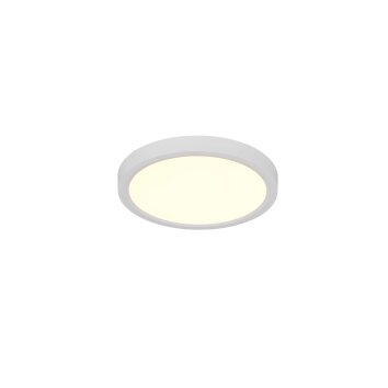Reality lights Draco ceiling light LED white, 1-light source