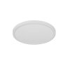 Reality lights Draco ceiling light LED white, 1-light source
