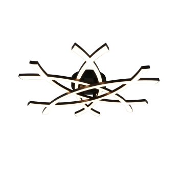 Reality lights Pollock ceiling light LED black, 1-light source