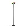 Reality lights Samba floor lamp LED black, 1-light source, Remote control, Colour changer