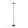 Reality lights Samba floor lamp LED black, 1-light source, Remote control, Colour changer