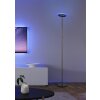 Reality lights Samba floor lamp LED black, 1-light source, Remote control, Colour changer
