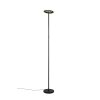 Reality lights Samba floor lamp LED black, 1-light source, Remote control, Colour changer