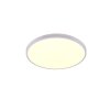 Reality lights Slope ceiling light LED white, 1-light source, Remote control