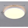 Reality lights Slope ceiling light LED white, 1-light source, Remote control