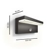 Philips Lights Bustan outdoor wall light LED anthracite, 1-light source, Motion sensor