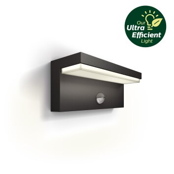 Philips Lights Bustan outdoor wall light LED anthracite, 1-light source, Motion sensor