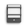 Philips Lights Petronia outdoor wall light LED anthracite, 1-light source
