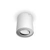 Philips Lights Pillar ceiling light white, 1-light source