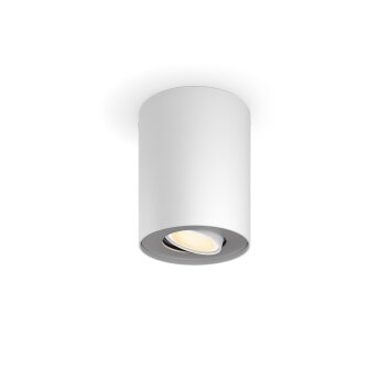 Philips Lights Pillar ceiling light white, 1-light source