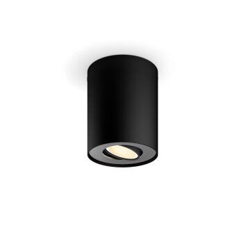 Philips Lights Pillar ceiling light black, 1-light source