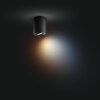 Philips Lights Pillar ceiling light black, 1-light source