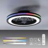 Leuchten Direkt lights BRANDON ceiling light LED black, 2-light sources, Remote control, Colour changer