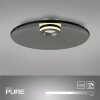 Paul Neuhaus lights Moon ceiling light LED silver, 2-light sources