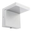 Globo lighting Lassan outdoor light LED white, 1-light source