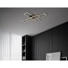 Globo lighting Tatjana ceiling light LED black, 1-light source