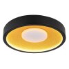 Globo lighting Woki ceiling light LED black, 1-light source