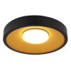 Globo lighting Woki ceiling light LED black, 1-light source