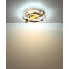 Globo lighting Deloris ceiling light LED dark brown, black, 1-light source, Remote control