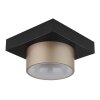 Globo lighting Raymond ceiling light LED anthracite, black, 1-light source