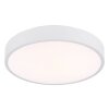 Globo lighting Nielsen ceiling light LED white, 1-light source