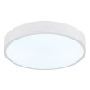 Globo lighting Nielsen ceiling light LED white, 1-light source