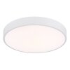 Globo lighting Nielsen ceiling light LED white, 1-light source