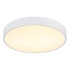 Globo lighting Nielsen ceiling light LED white, 1-light source