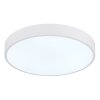 Globo lighting Nielsen ceiling light LED white, 1-light source